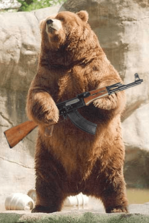 armed-bears.png