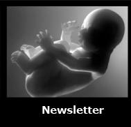 bttn_newsletter_btn.gif