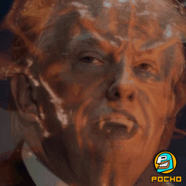 dd.gif