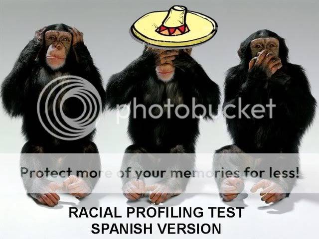 RacialProfilingTest2.jpg