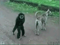 0cw3TlQv_.gif