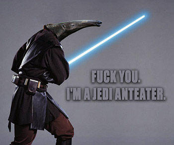 jedi-anteater.jpg