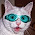 goggle%25252Bcat.jpg