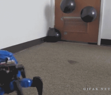 VJXN1Dx.gif