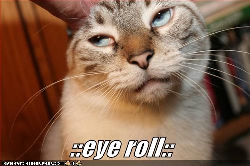eyeroll128404277449245000.jpg