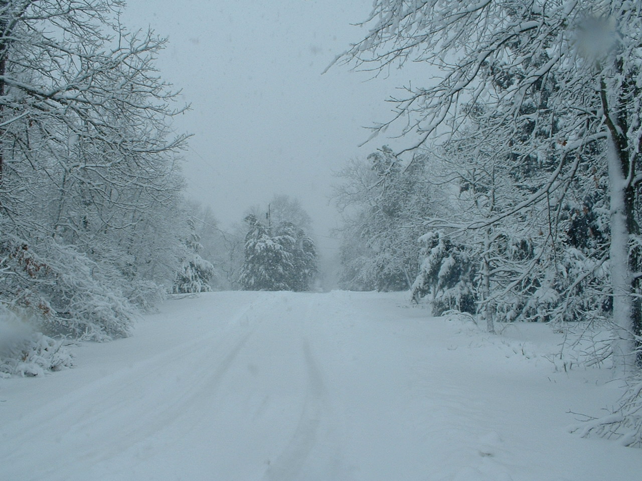 snow_scene_44_by_Stock_Tenchigirl15.jpg