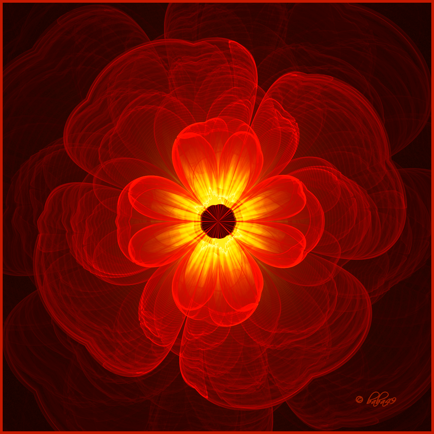 Inner_Glow_Of_A_Flower_by_baba49.png