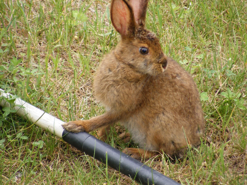 DSCF5532.jpg