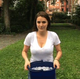 L8o0Bc5.gif