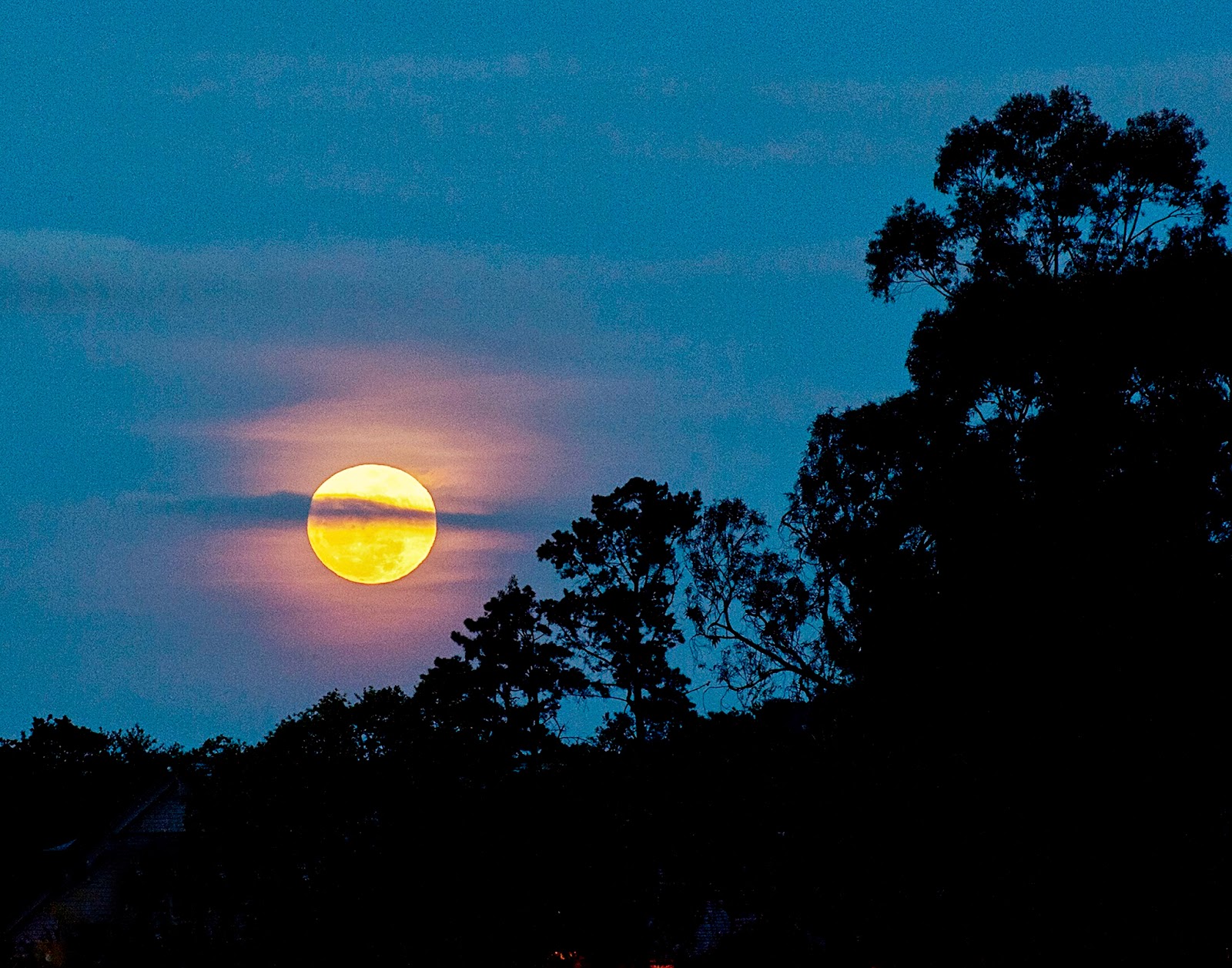 harvestmoon.jpg