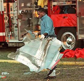 lawn_scrap2.jpg