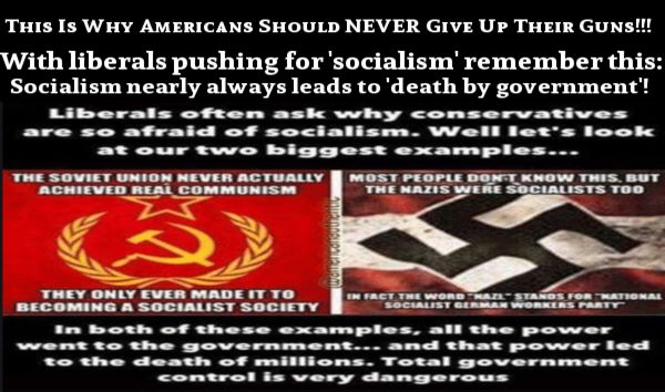 never_give_up_your_guns.png