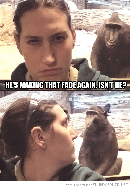 funny-monkey-making-face-girl-zoo-pics.jpg