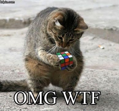 rubix+cat.jpg