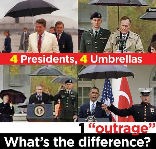 Umbrella.jpg