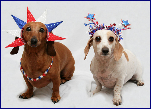 4th-of-july-dogs.jpg