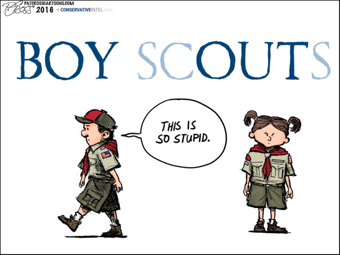 boy-scouts-696x522.png