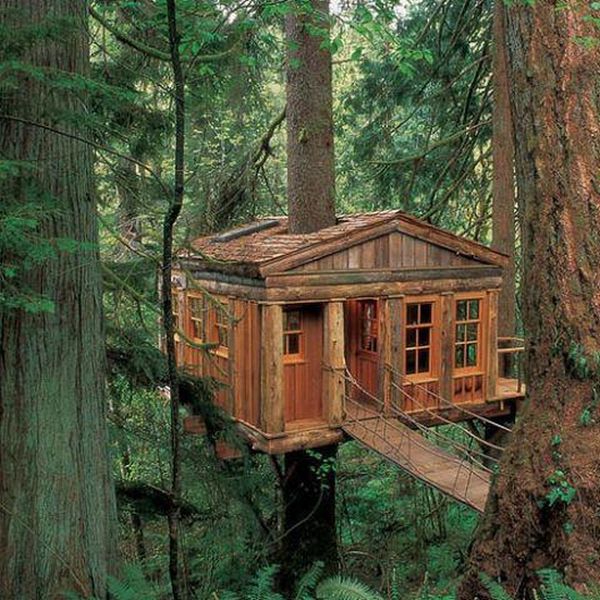 tree_house_02.jpg