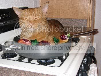 cooked_cat.jpg