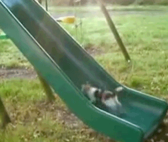 43d432f38a6bb173577f4929c7799c31.jpg