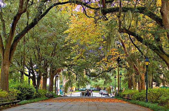 savannah-georgia-1new.jpg