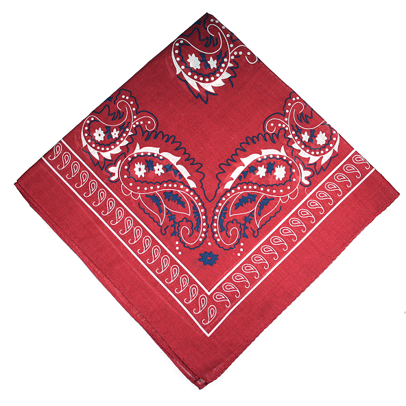 red%20paisley%20cotton%20handkerchief%20square.jpg