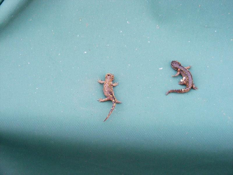 DSCF1392.JPG
