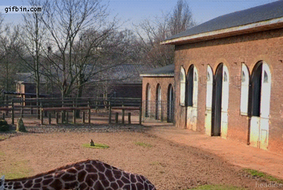 1381771621_sup.gif