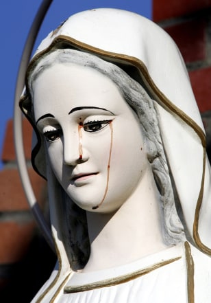 051126_mary_vsml_7p.grid-4x2.jpg