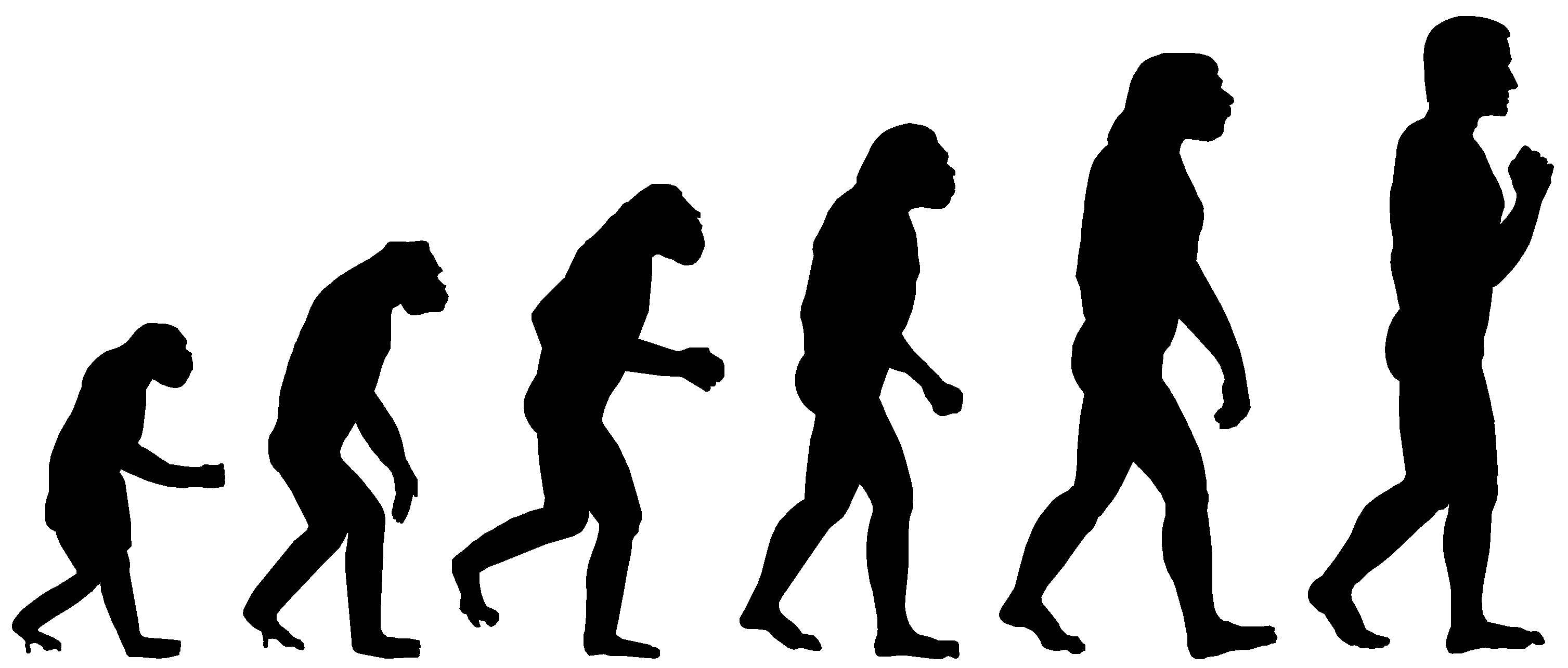 01-evolutionary-chain.jpg