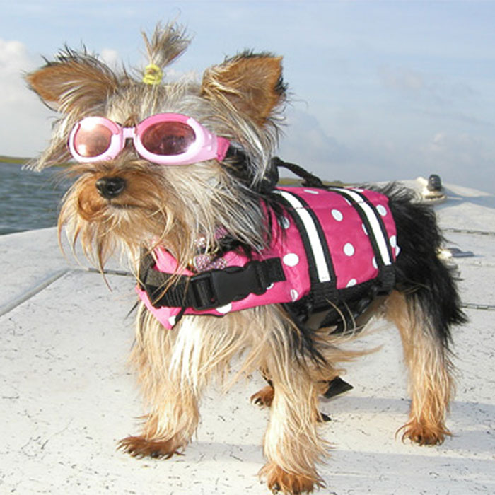 polka-dot-designer-dog-life-jacket--hot-pink-1.jpg