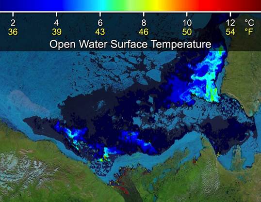 openwatersurface-1_fix_538px.jpg