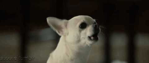 tumblr_m4jh6x8YWC1qko4d6o1_500.gif