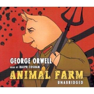 napoleon_pig.jpg