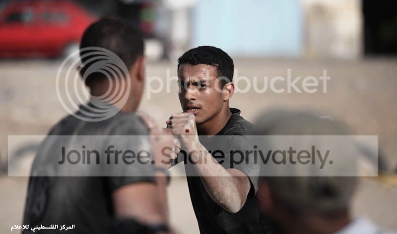 IMG_0526_zps4b6ef332.jpg