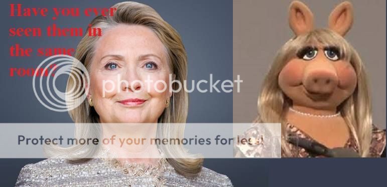 HillaryPiggy_zpswx5tfrog.jpg
