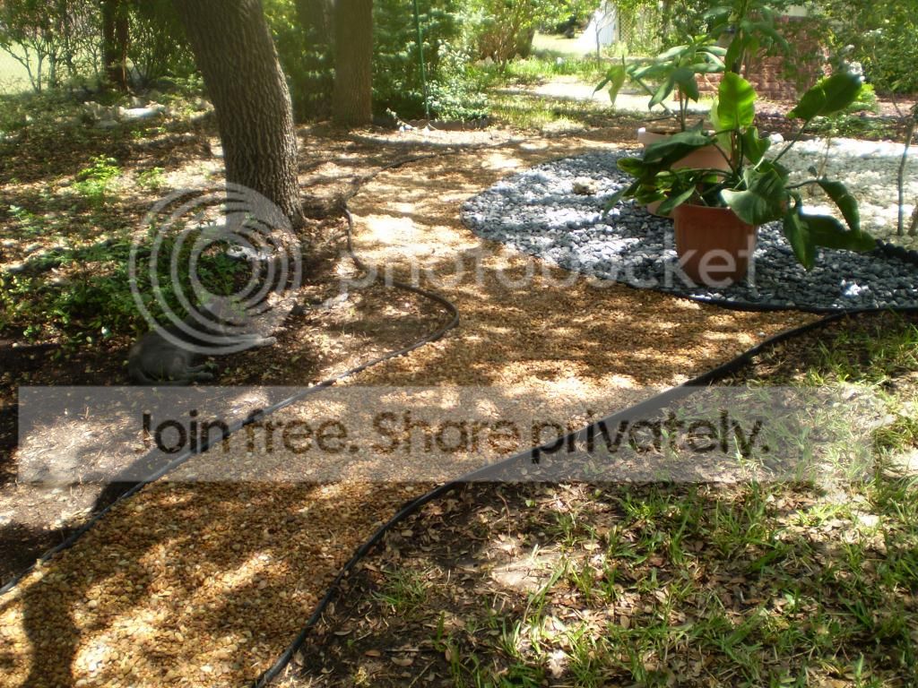 P1010920_zpsa5fbd2be.jpg