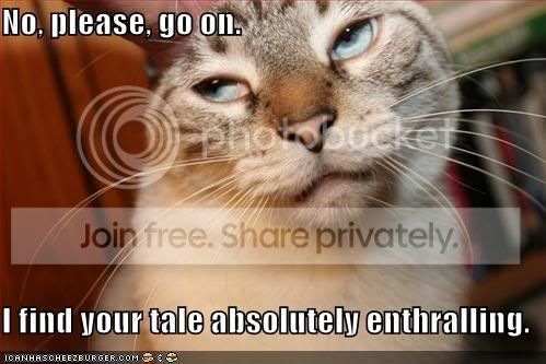 boredcat.jpg