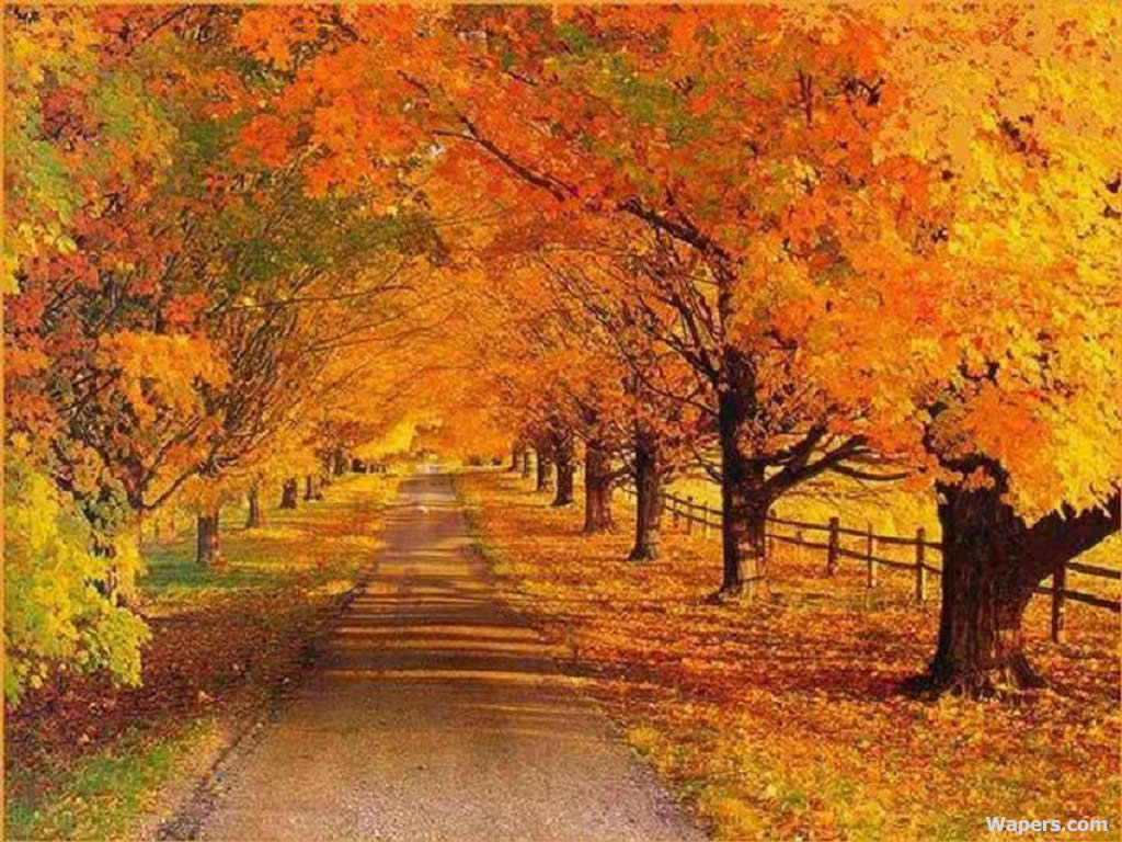 autumn21024.jpg