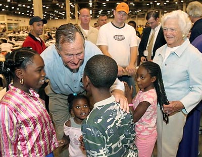 bushes.jpg