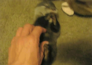 122.gif