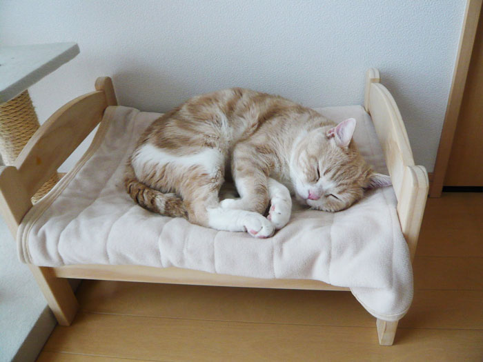ikea-duktig-bed-hack-cat-bed-19.jpg