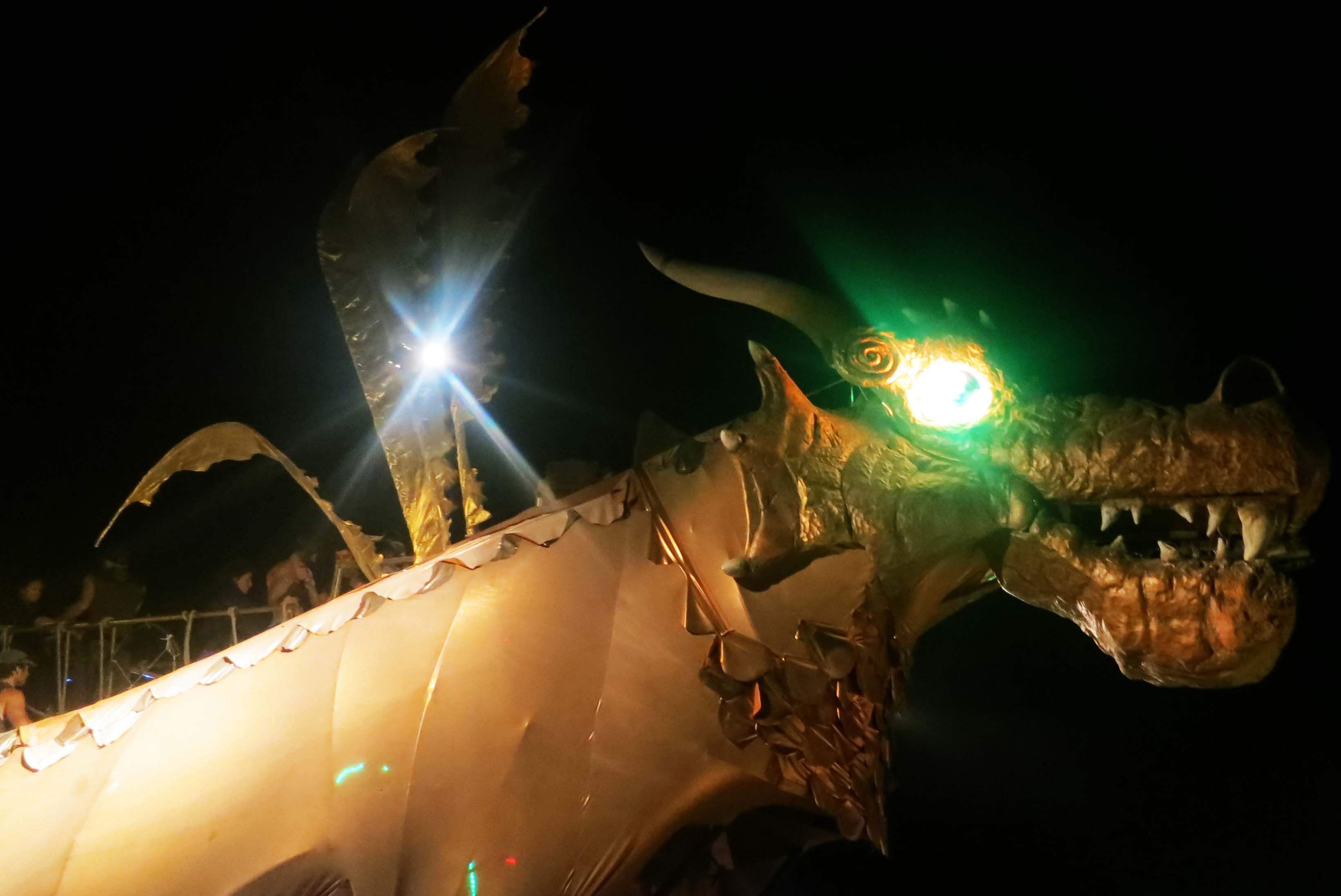real-dragon-1.jpg