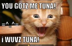 tunaLolCat.jpg