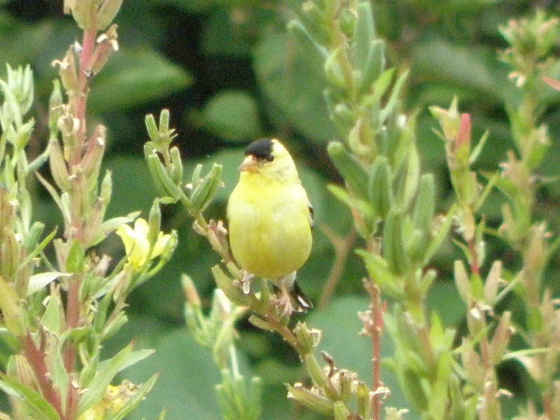 P8225215.JPG