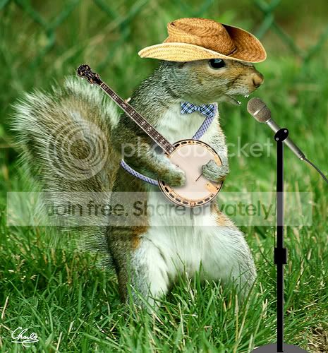 squirrel-banjo2.jpg