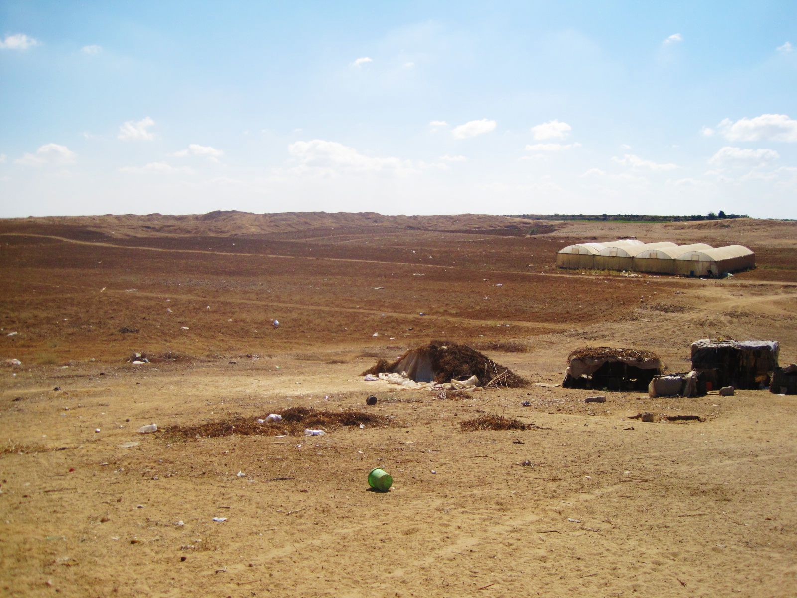 photo3.jpg