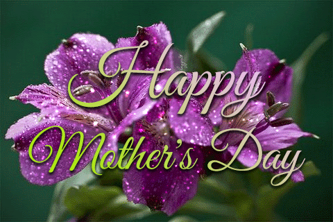306619-Purple-Flowers-On-Mothers-Day.gif