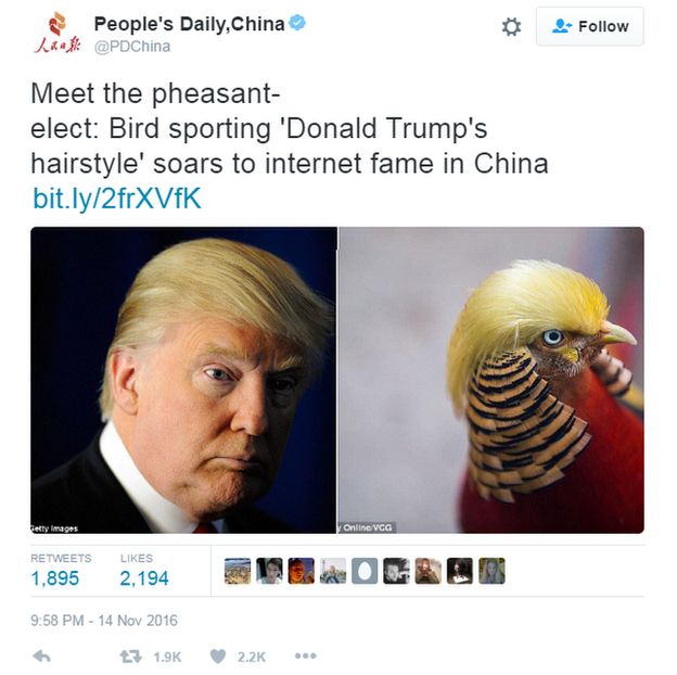 _92475544_trumpbird1.png