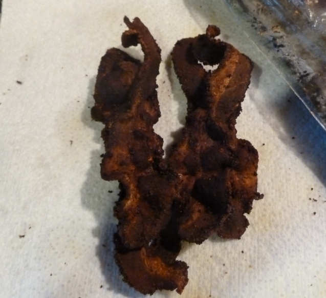 bacon.jpg